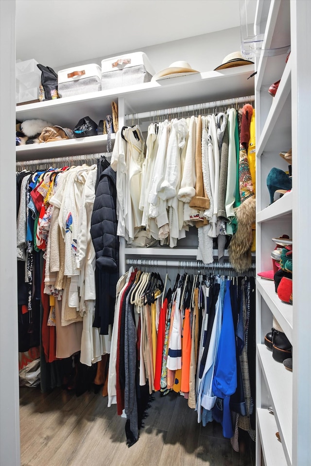 2135 Halfmoon Way, Murfreesboro, TN 37130 - walk in closet with wood finished floors