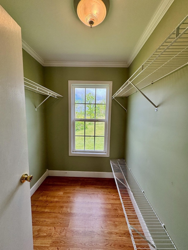 1039 Old Martha Washngton Rd, Clarkrange, TN 38553 - spacious closet with wood finished floors