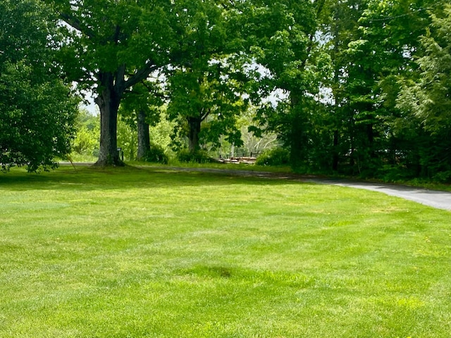 1039 Old Martha Washngton Rd, Clarkrange, TN 38553 - view of grassy yard