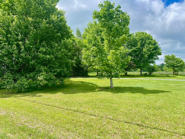 1039 Old Martha Washngton Rd, Clarkrange, TN 38553 - view of grassy yard