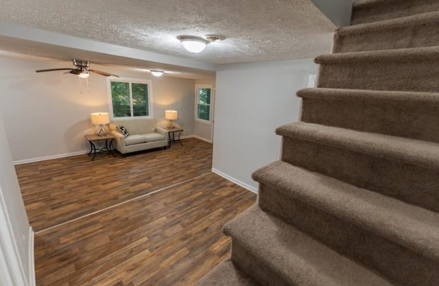 426 Beacon Hill Dr, Mount Juliet, TN 37122 - photo 32