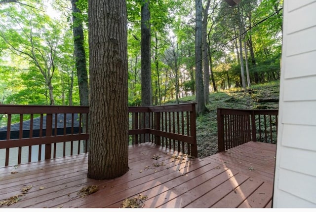 426 Beacon Hill Dr, Mount Juliet, TN 37122 - photo 78