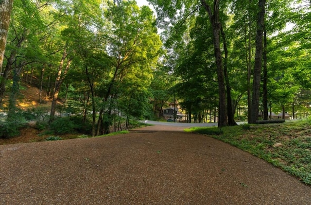 426 Beacon Hill Dr, Mount Juliet, TN 37122 - photo 20