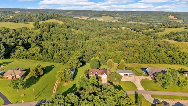 268 Crest Dr, Lynchburg, TN 37352 - drone / aerial view of a forest