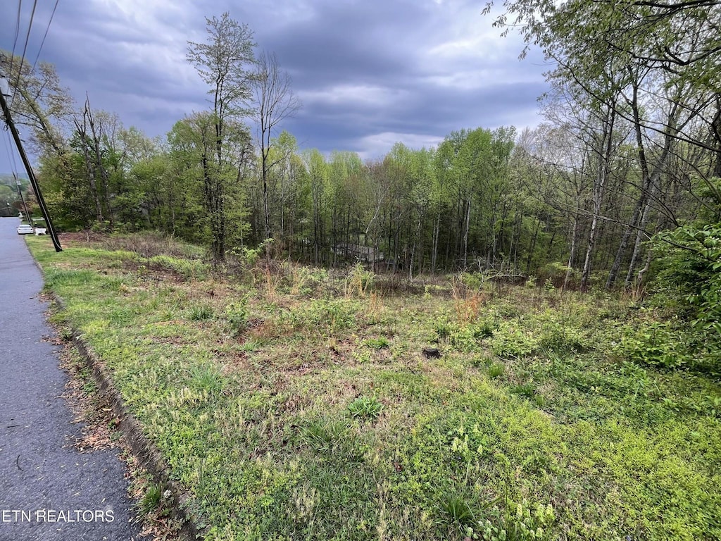 8221 Cricket Rd, Powell, TN 37849 - photo 1