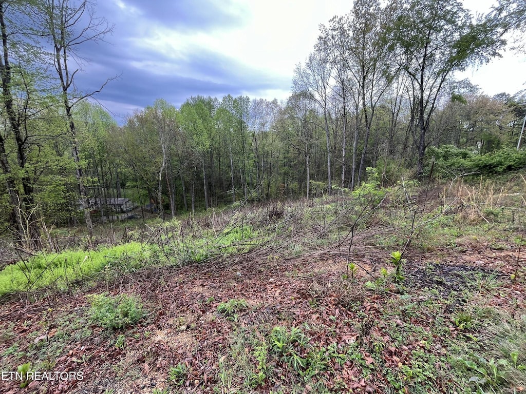 8221 Cricket Rd, Powell, TN 37849 - photo 2