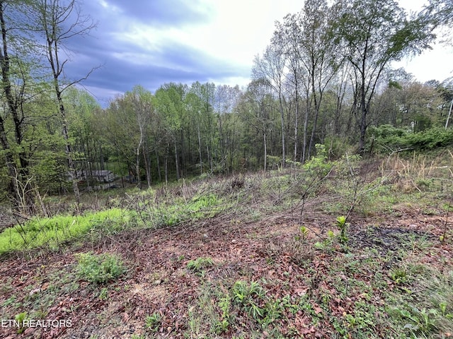 8221 Cricket Rd, Powell, TN 37849 - photo 2