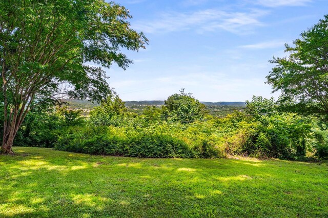 8475 Mccrory Ln, Nashville, TN 37221 - photo 5