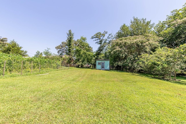 310 Carter St, Manchester, TN 37355 - photo 37