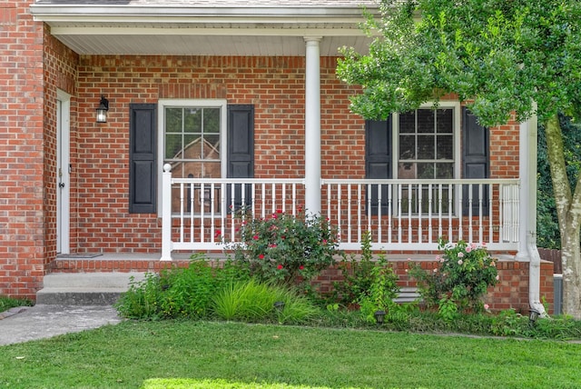 531 Glenstone Springs Dr, Clarksville, TN 37043 - photo 8