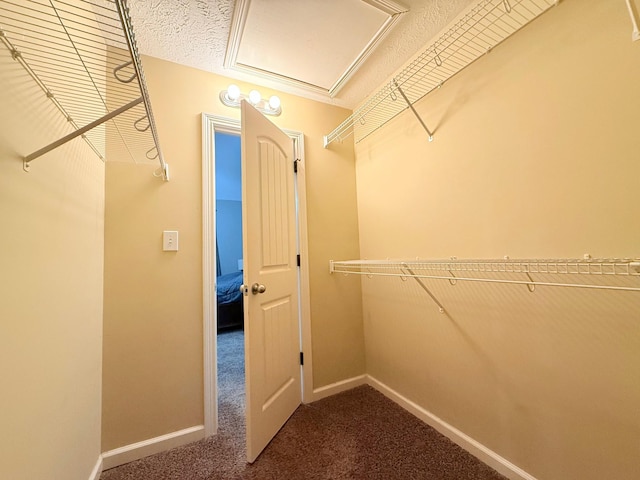 2184 Trophy Trce, Clarksville, TN 37040 - photo 20