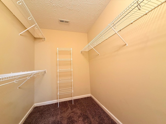 2184 Trophy Trce, Clarksville, TN 37040 - photo 19