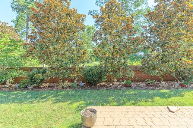 8982 Rostis Ln, Chattanooga, TN 37421 - photo 9