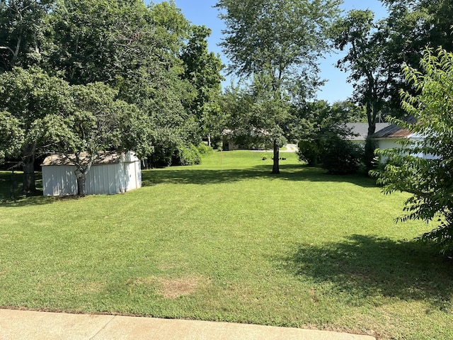 538 Lincoln St, Pulaski, TN 38478 - view of green lawn with a storage shed