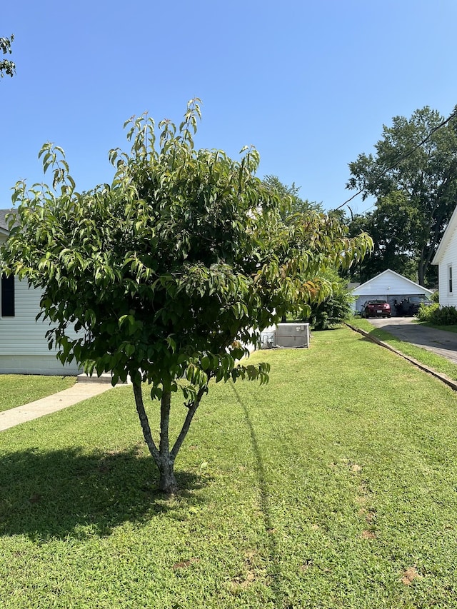 538 Lincoln St, Pulaski, TN 38478 - view of grassy yard featuring a detached carport and driveway