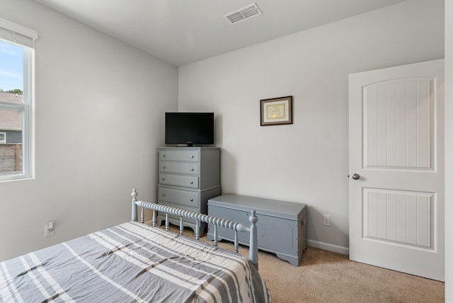 125 Stammer Farms Blvd, Chapel Hill, TN 37034 - view of carpeted bedroom
