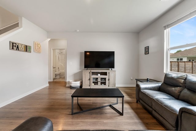 125 Stammer Farms Blvd, Chapel Hill, TN 37034 - living area featuring wood finished floors and baseboards