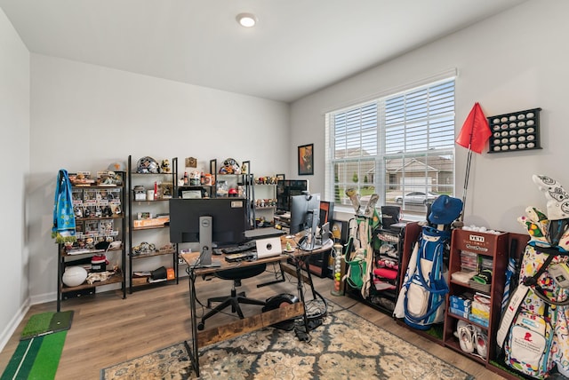 125 Stammer Farms Blvd, Chapel Hill, TN 37034 - office with wood finished floors and recessed lighting