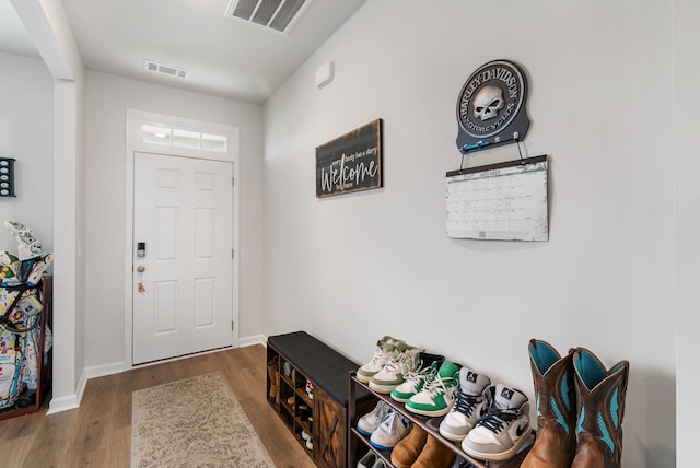 125 Stammer Farms Blvd, Chapel Hill, TN 37034 - foyer entrance featuring wood finished floors and baseboards