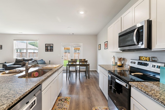 125 Stammer Farms Blvd, Chapel Hill, TN 37034 - kitchen with stainless steel appliances, wood finished floors, white cabinets, light stone counters, and open floor plan