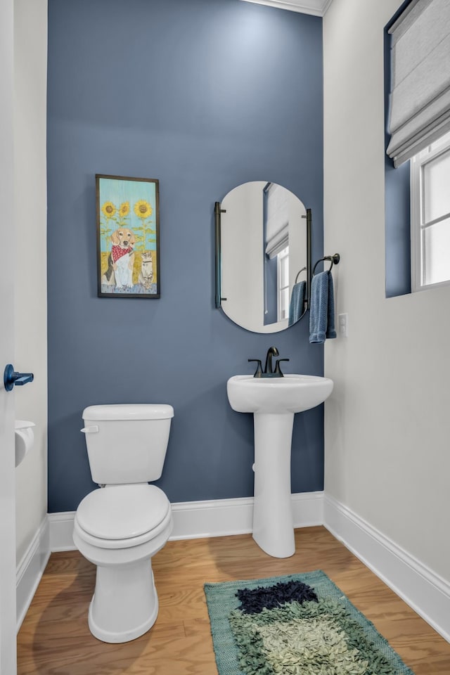 713 Summit Oaks Ct, Nashville, TN 37221 - photo 9