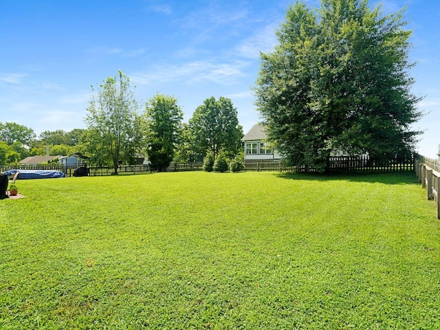 310 Diane Loop, White Bluff, TN 37187 - view of fenced yard