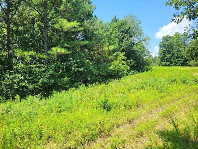 3 Strawberry Gables, Holladay, TN 38341