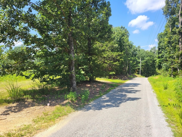 3 Strawberry Gables, Holladay, TN 38341