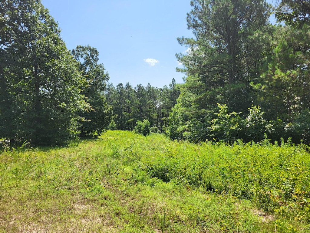 3 Strawberry Gables, Holladay, TN 38341