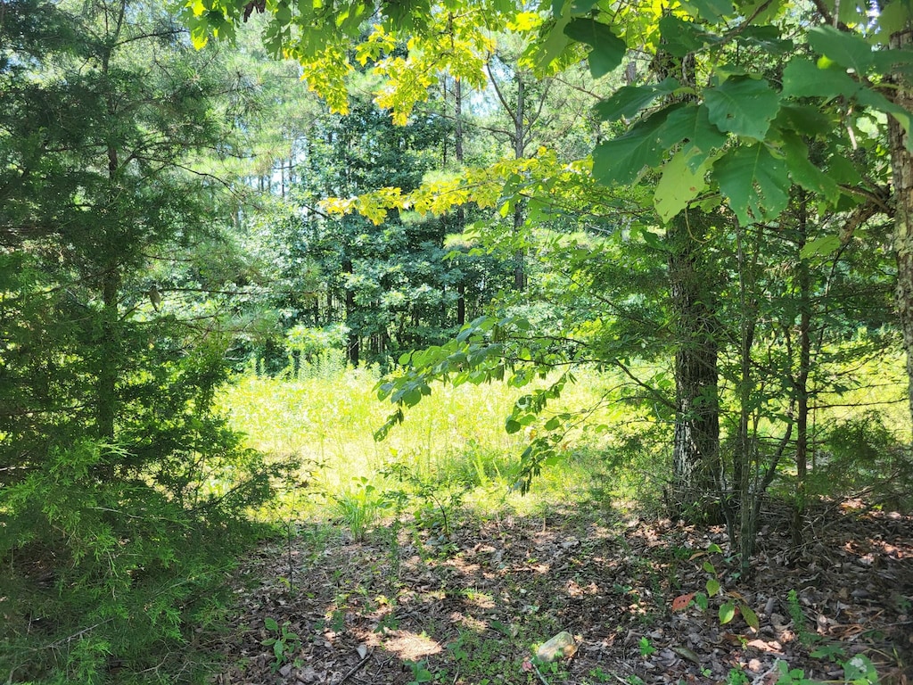 3 Strawberry Gables, Holladay, TN 38341