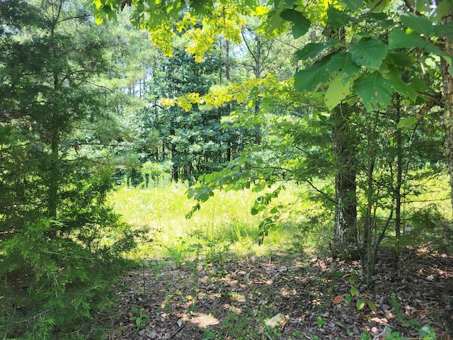 3 Strawberry Gables, Holladay, TN 38341