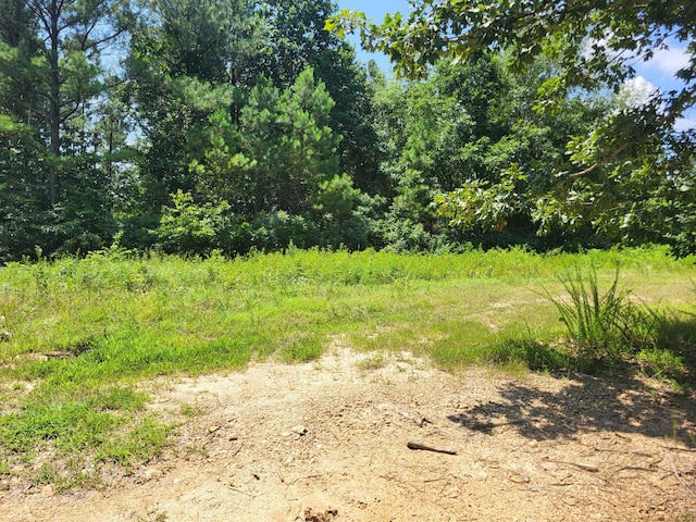 2 Strawberry Gables, Holladay, TN 38341 - photo 5