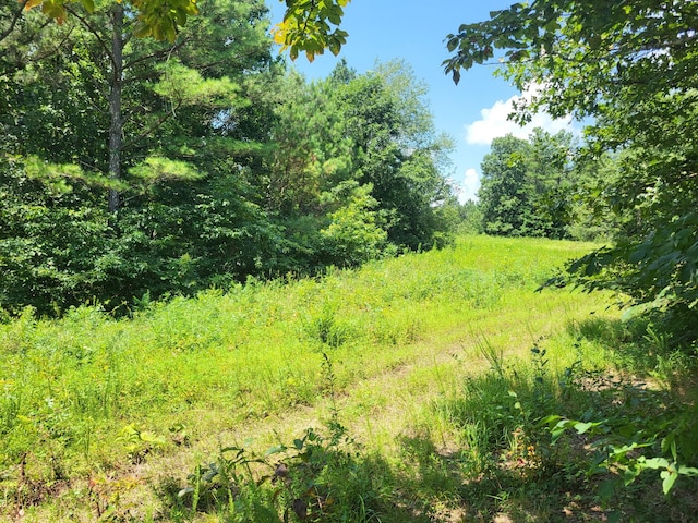 2 Strawberry Gables, Holladay, TN 38341 - photo 1