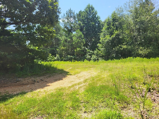 2 Strawberry Gables, Holladay, TN 38341 - photo 7