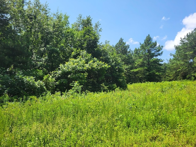 2 Strawberry Gables, Holladay, TN 38341 - photo 2