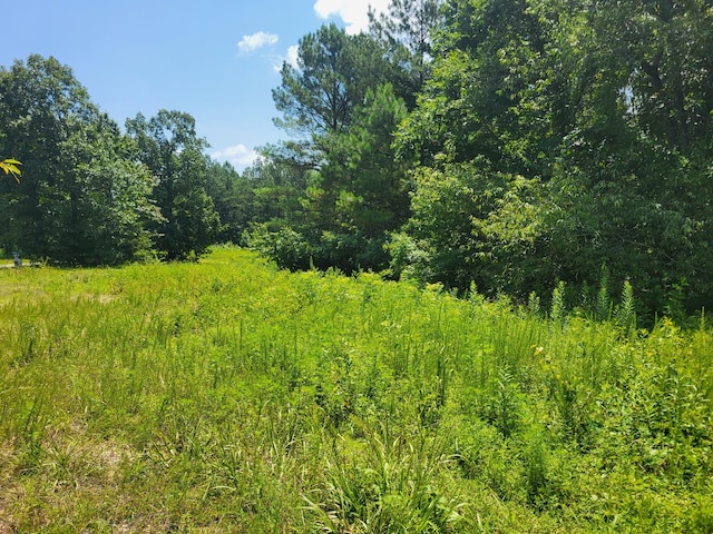 2 Strawberry Gables, Holladay, TN 38341 - photo 10