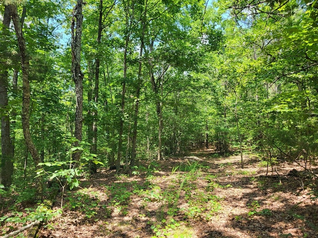 8 Birdsong Rd, Holladay, TN 38341