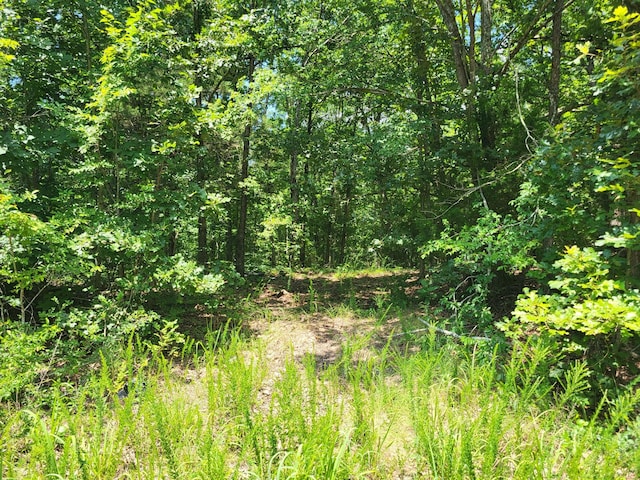 8 Birdsong Rd, Holladay, TN 38341