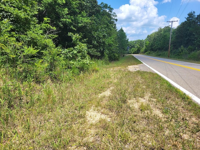 8 Birdsong Rd, Holladay, TN 38341