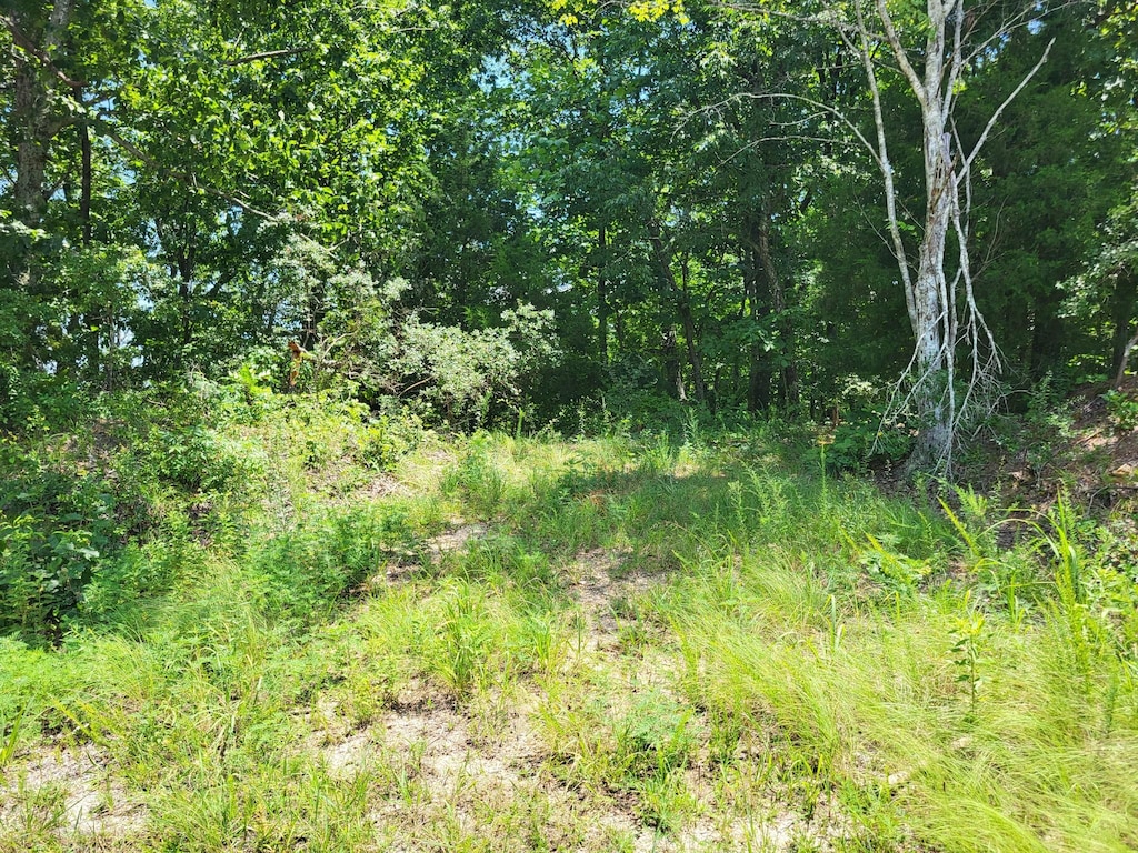 9 Birdsong Rd, Holladay, TN 38341