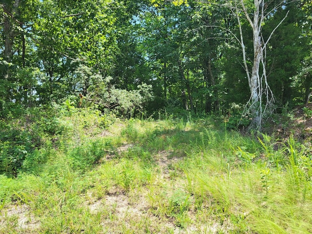 9 Birdsong Rd, Holladay, TN 38341