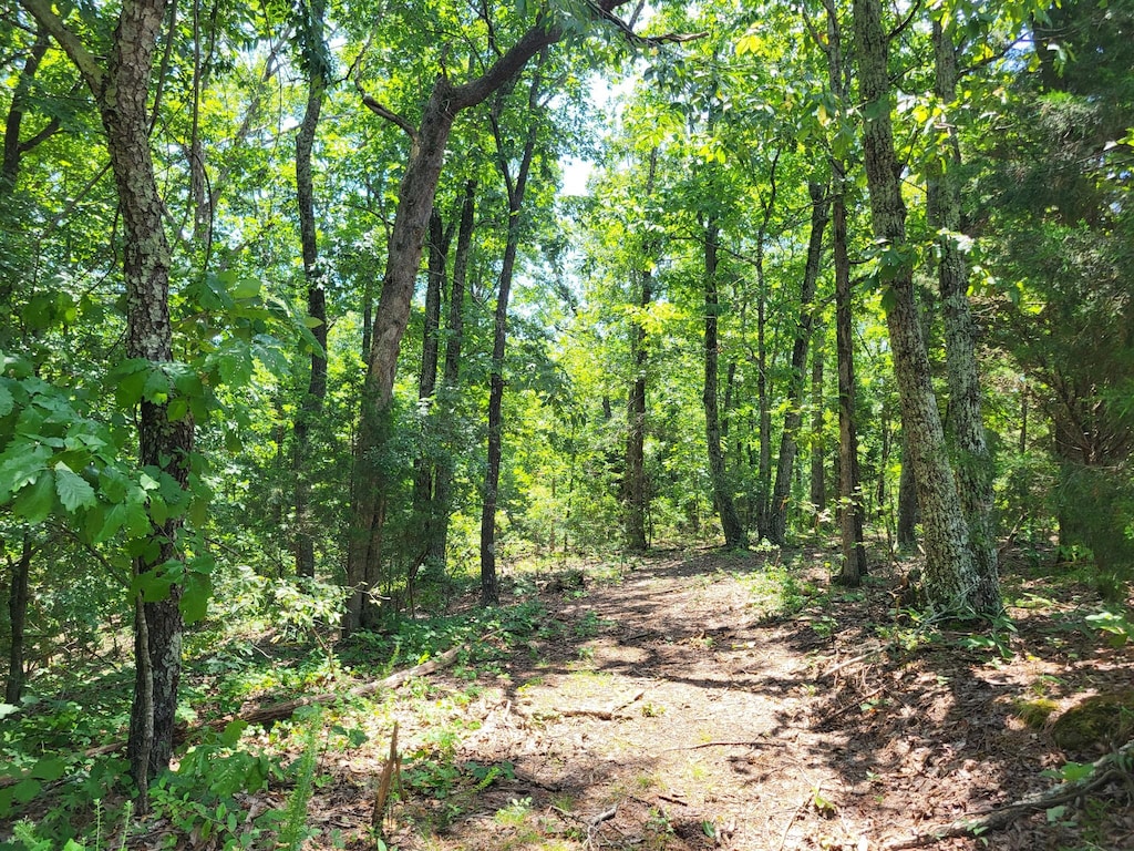9 Birdsong Rd, Holladay, TN 38341