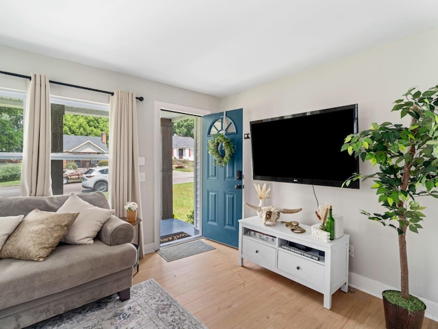 2011 Denham Ave, Columbia, TN 38401 - living room with plenty of natural light and light wood-style floors