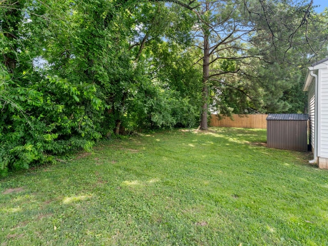 2011 Denham Ave, Columbia, TN 38401 - view of yard featuring a storage shed
