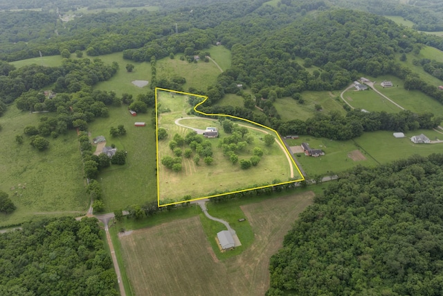 8025 Dry Creek Rd, Mount Pleasant, TN 38474 - photo 38
