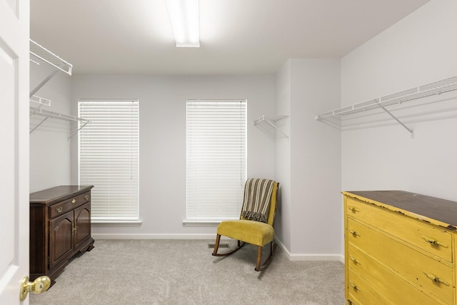 1902 Baileys Trace Dr, Spring Hill, TN 37174 - spacious closet featuring light colored carpet