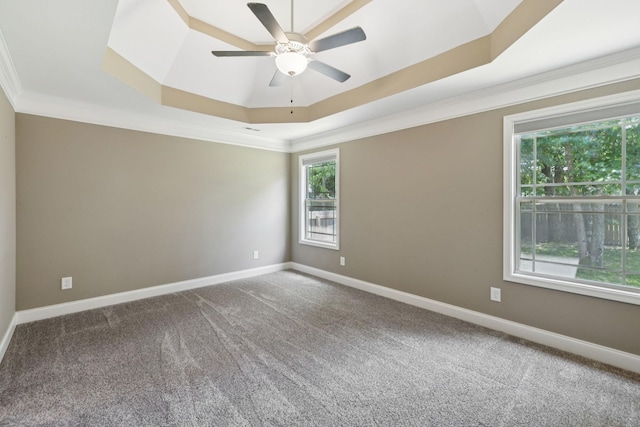 510 Sourwood Dr, Clarksville, TN 37042 - empty room featuring a tray ceiling, ornamental molding, carpet floors, and ceiling fan