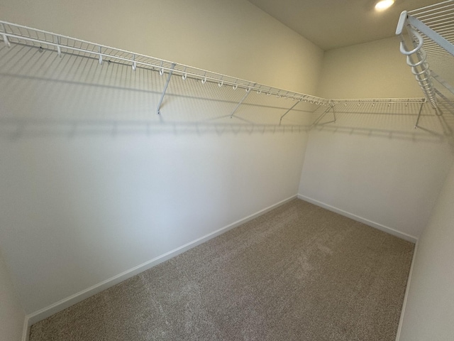 400 Blair Rd, Smyrna, TN 37167 - photo 22