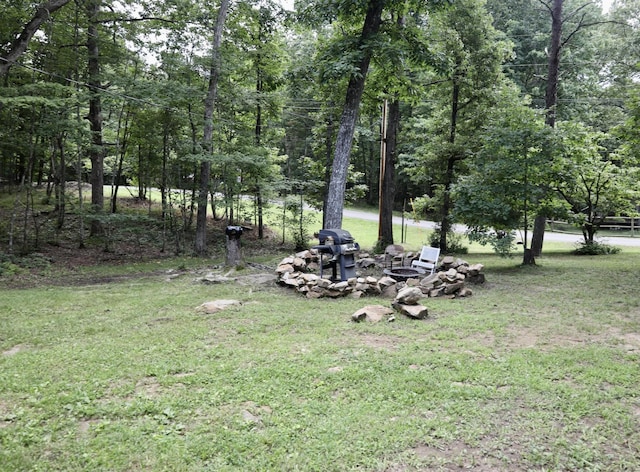 216 Roe Dr, Dunlap, TN 37327 - photo 2