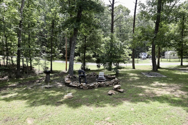 216 Roe Dr, Dunlap, TN 37327 - photo 27